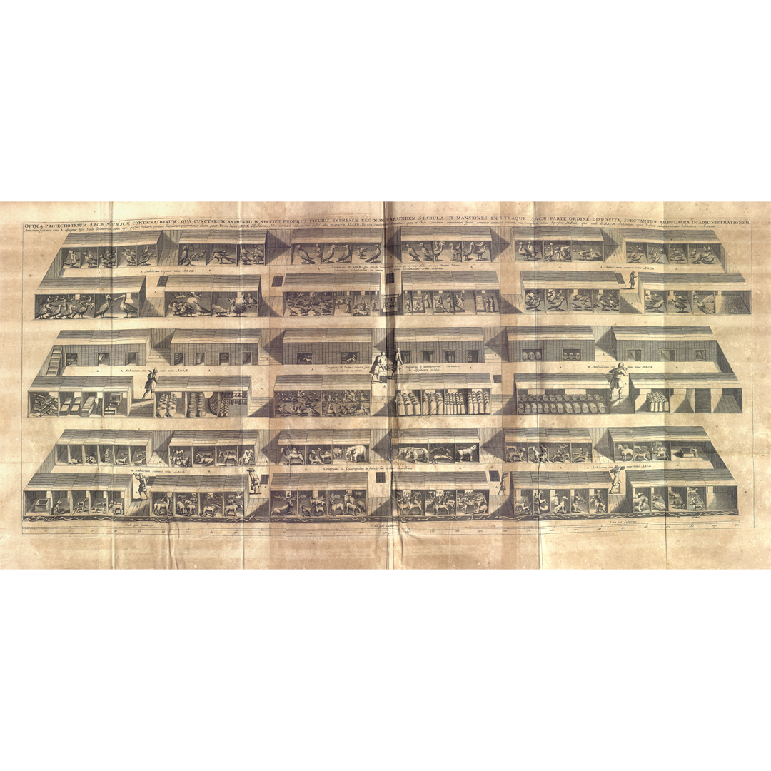 Arca Noe, in tres libros digesta